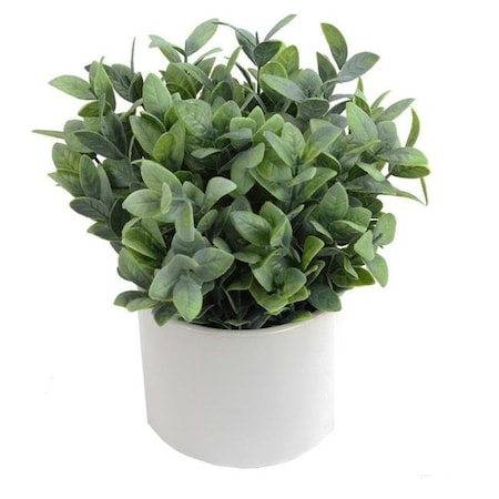 Adlmired By Nature Admired by Nature ABN5P022-NTRL-R Artificial Frosted Ruscus Plant with Ceramic Pot - Green ABN5P022-NTRL-R